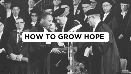 How to Grow Hope						