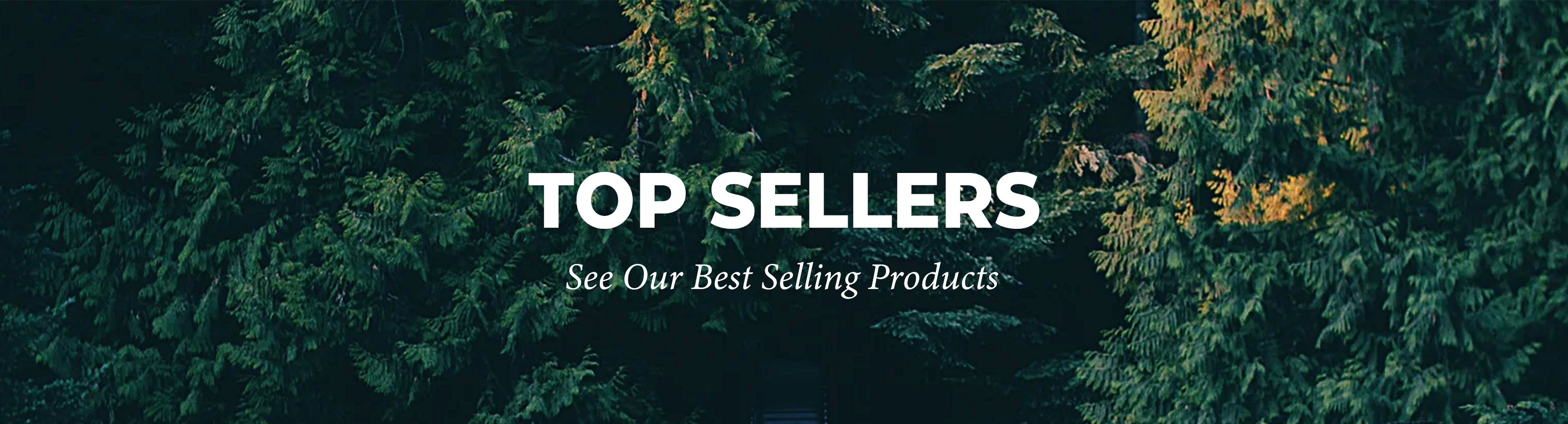 Top Sellers Banner