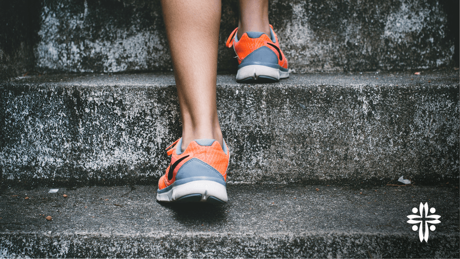 Bodily Stewardship