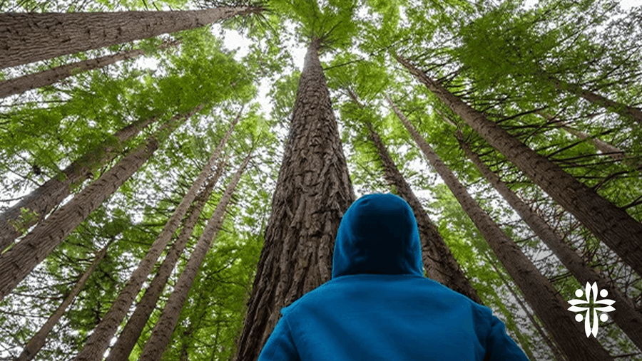 How to Face your Giants Like David