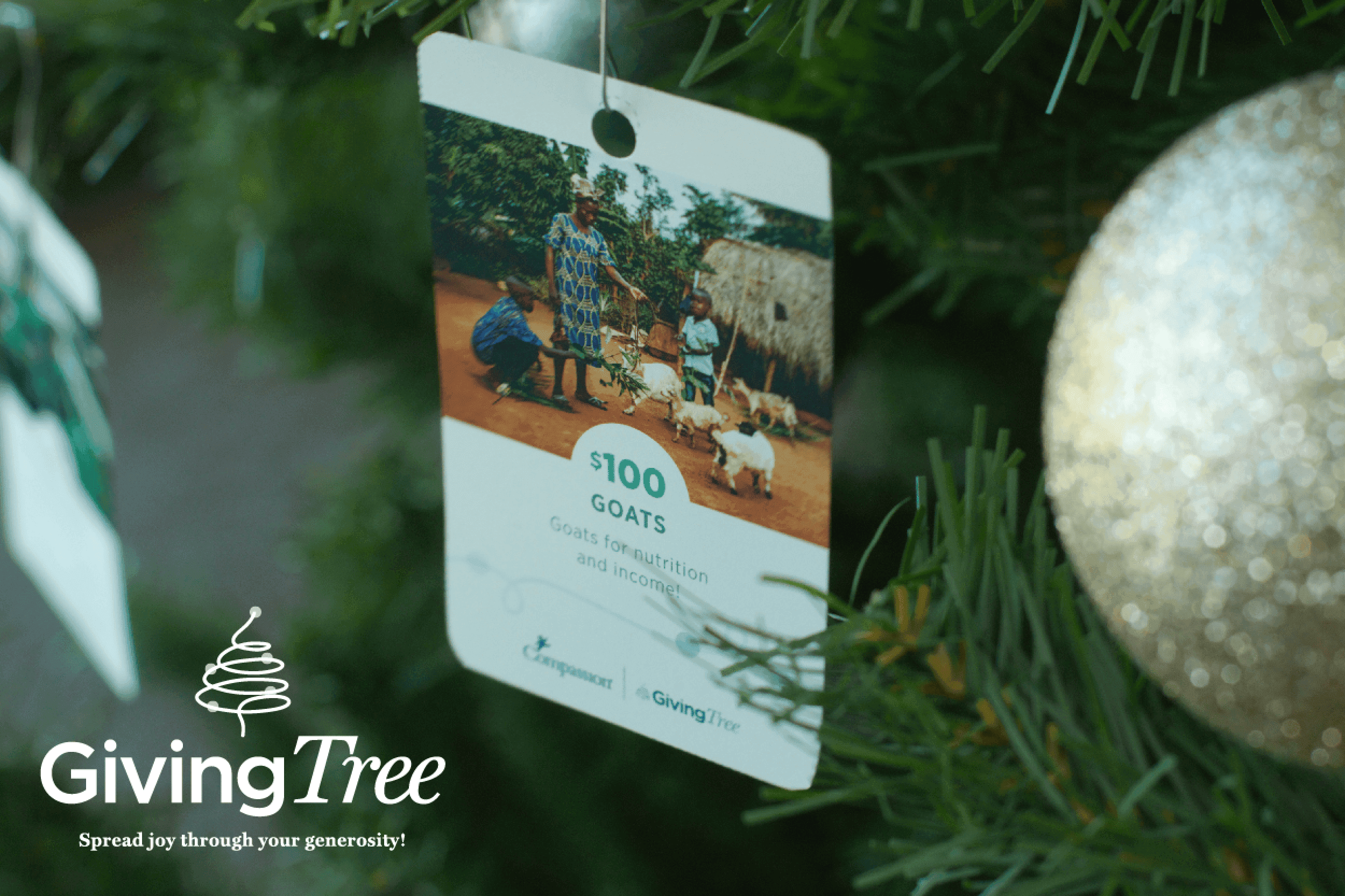 You'll also receive a digital resource pack with: