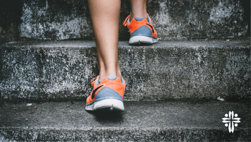 Bodily Stewardship
