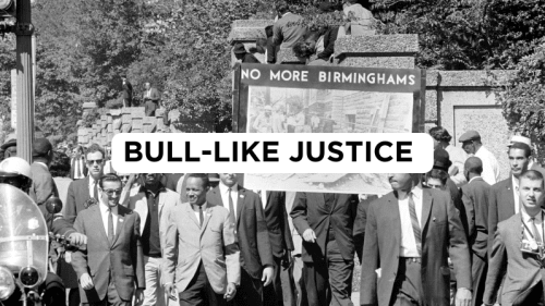 Bull-Like Justice						